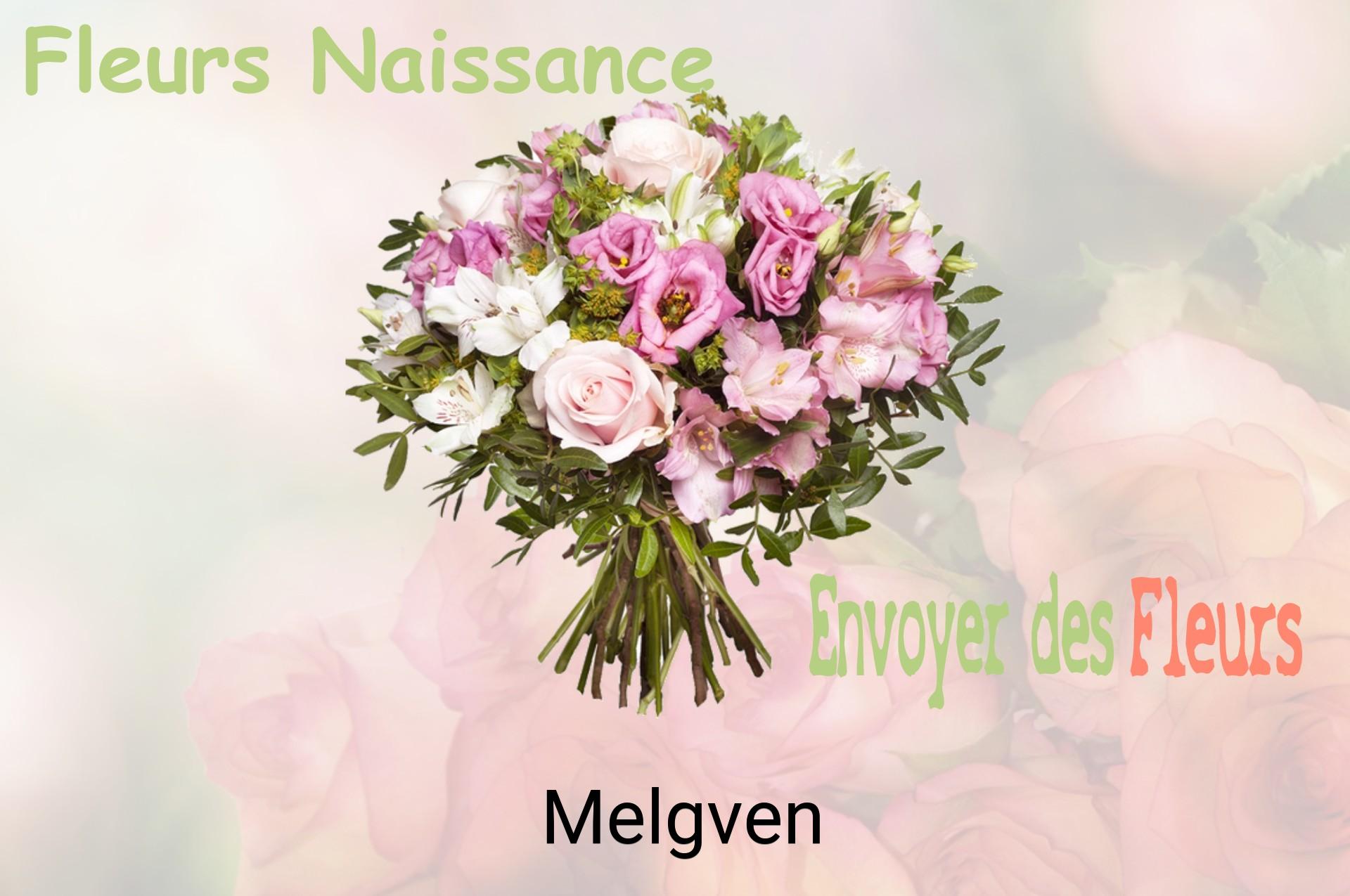 Bouquet de fleurs de naissance livré à Melgven
